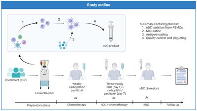 Dendritic cell vaccination combined with carboplatin/paclitaxel for metastatic endometrial cancer patients: results of a phase I/II trial